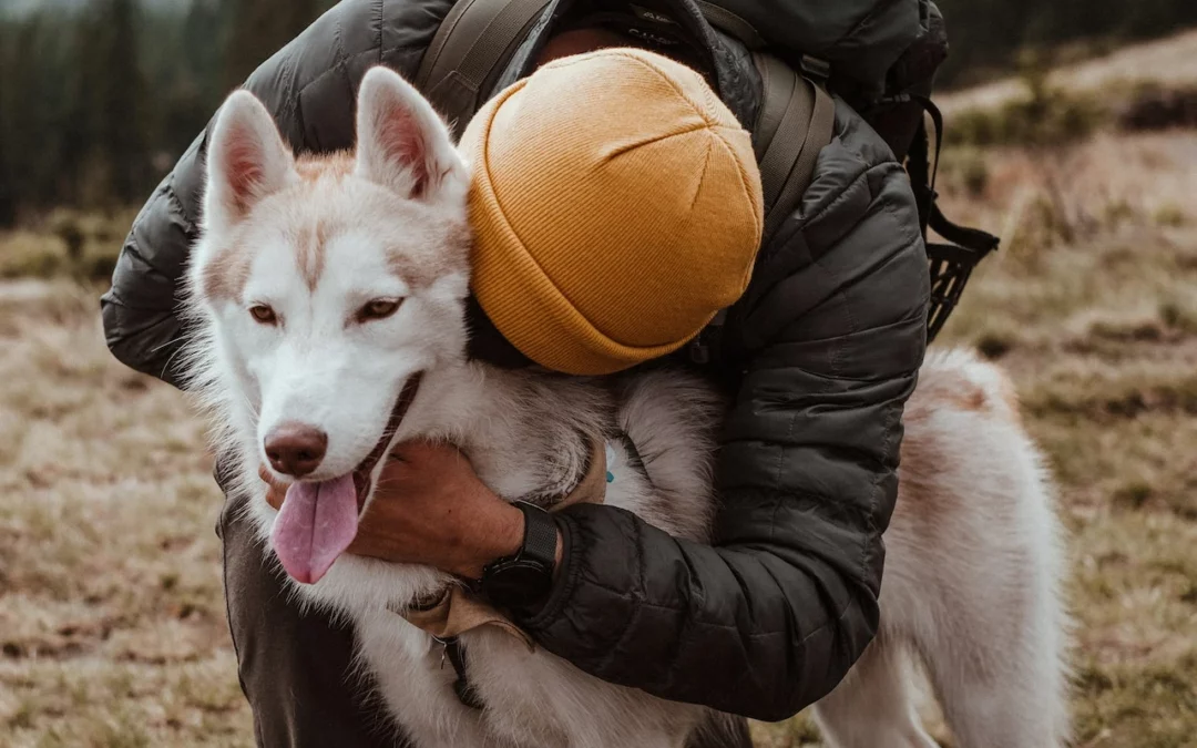 The best hikes in Gauteng to do with your dog this winter
