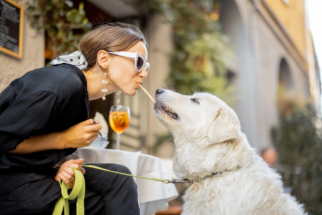 8 dog friendly Restaurants in Joburg