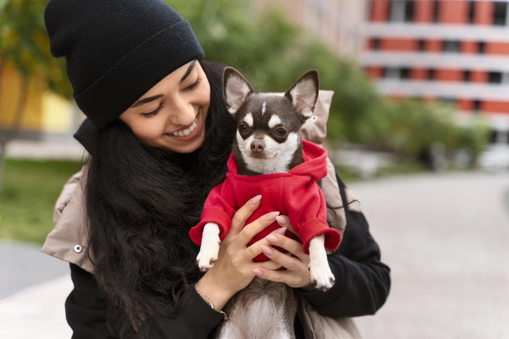 Keep your dog warm with a jersey during winter