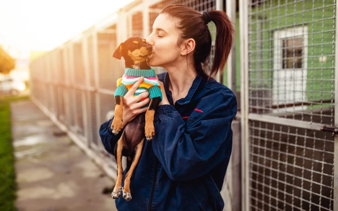 Adopt, Don’t Shop: 10 things to know before adopting a dog