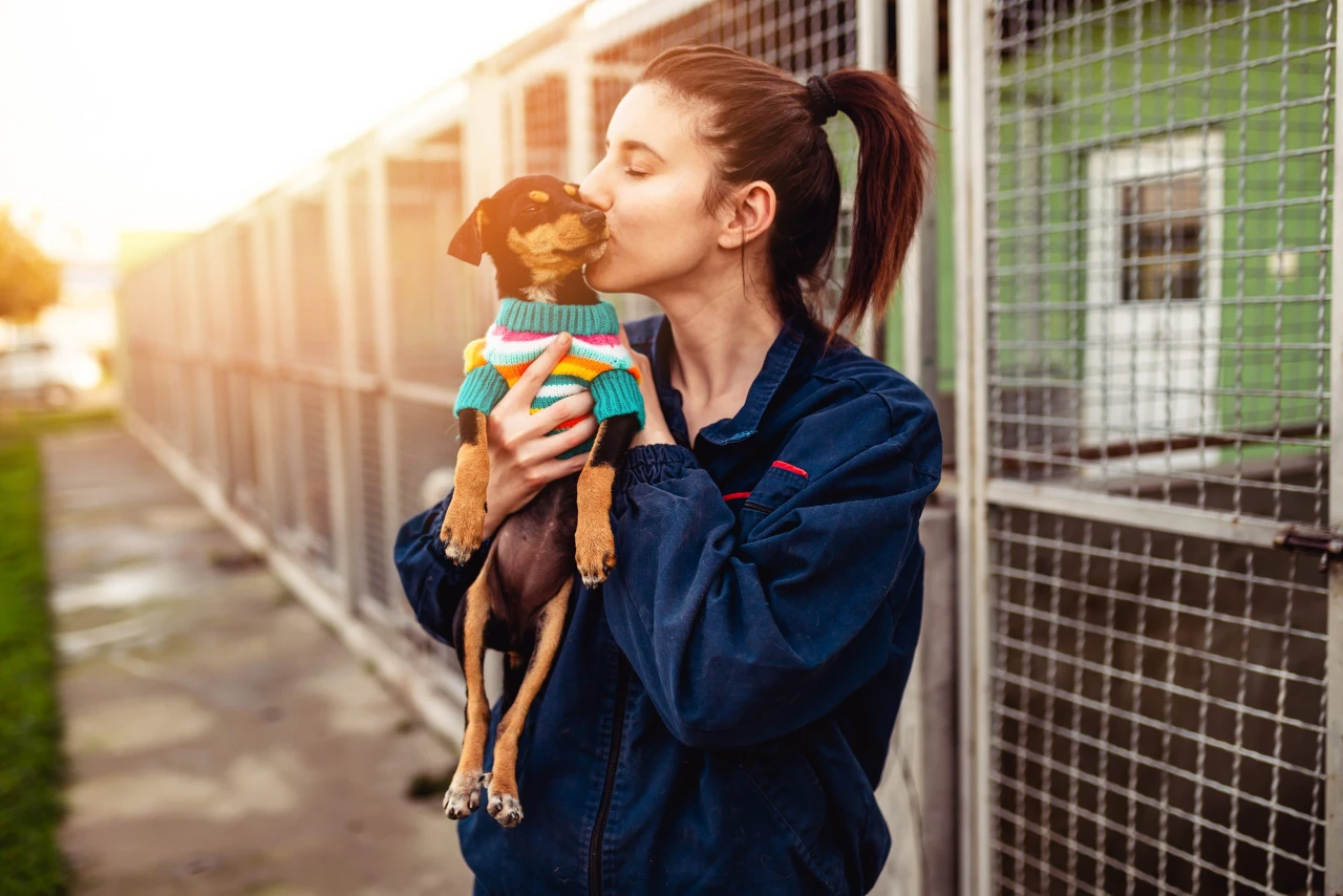 Adopt, Don’t Shop: 10 things to know before adopting a dog