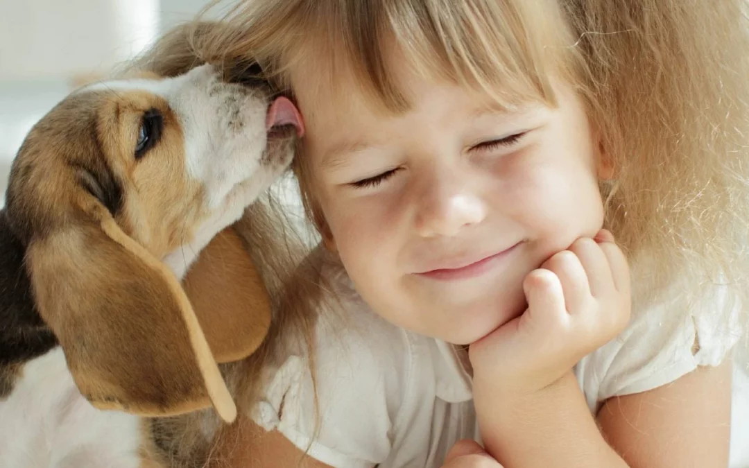 Puppy Socialisation: 7 Simple Steps to Doing it the Pawfect Way