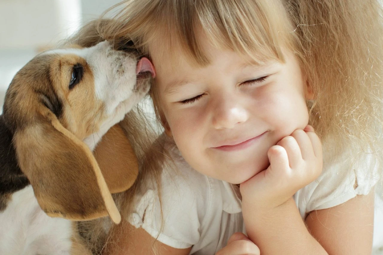 Puppy Socialisation: 7 Simple Steps to Doing it the Pawfect Way