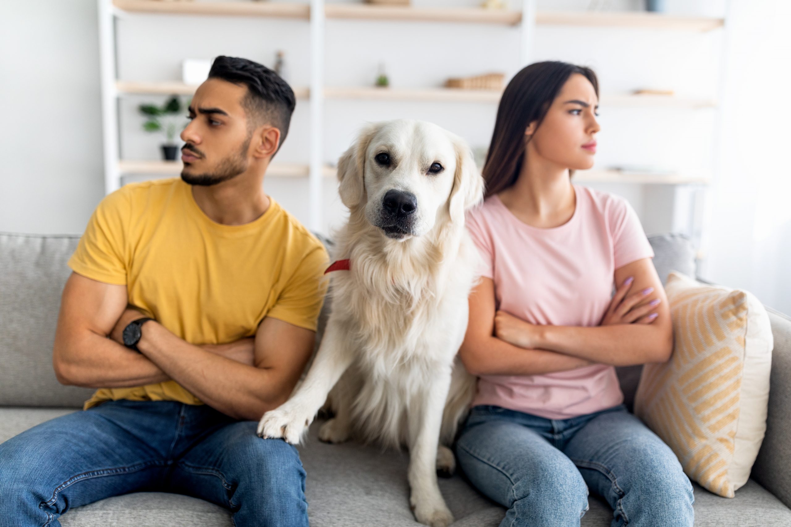 The Impact on Pets in Divorce: 3 Vital Things to Consider