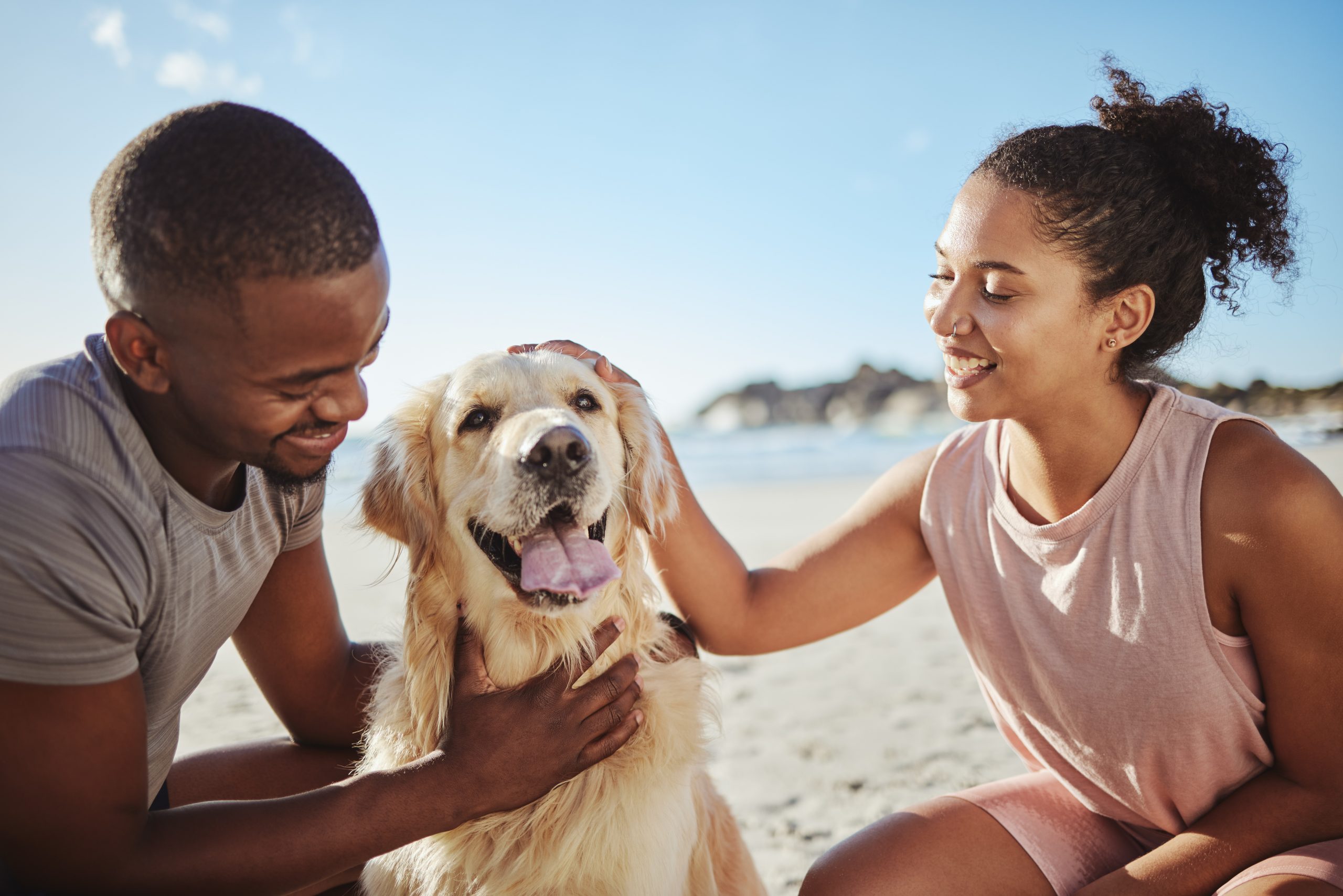 5 top tips for the perfect dog beach day