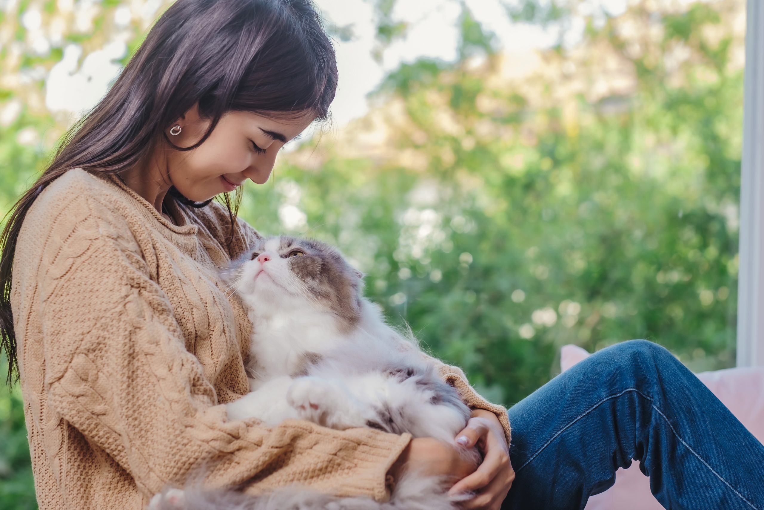 8 Signs Your Cat Loves You