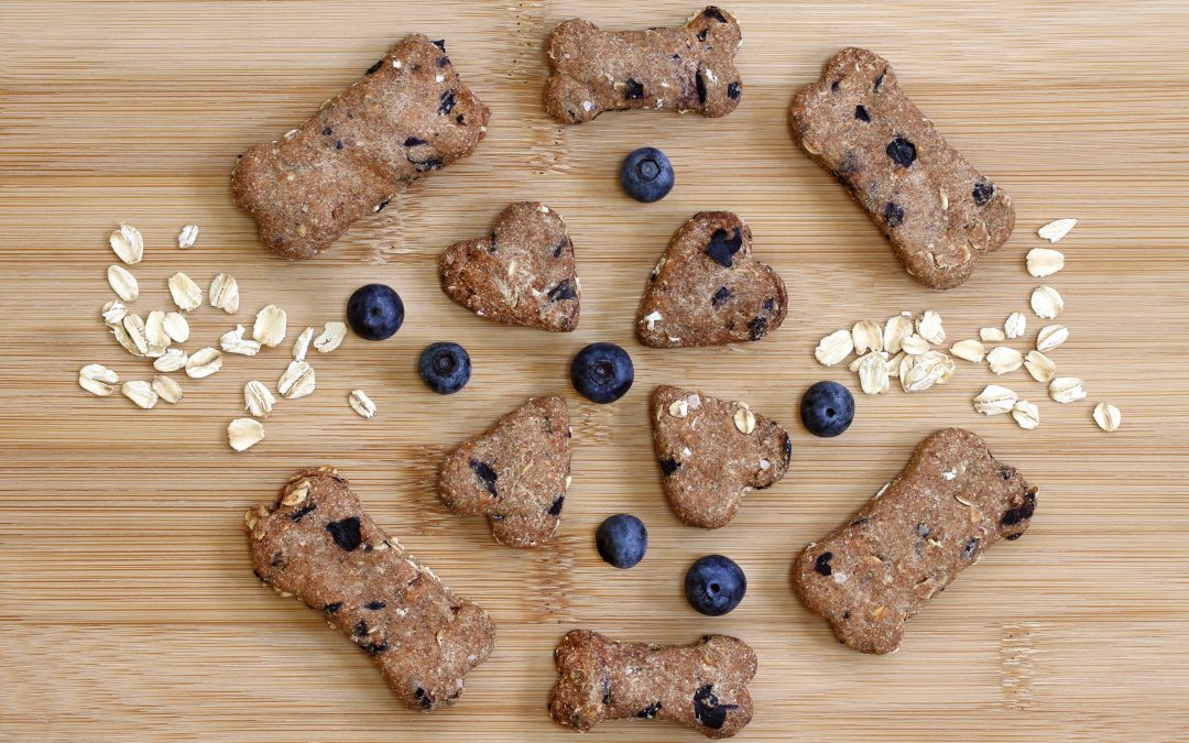 5 Gourmet Dog Treats for Your Fur Baby This Festive Season