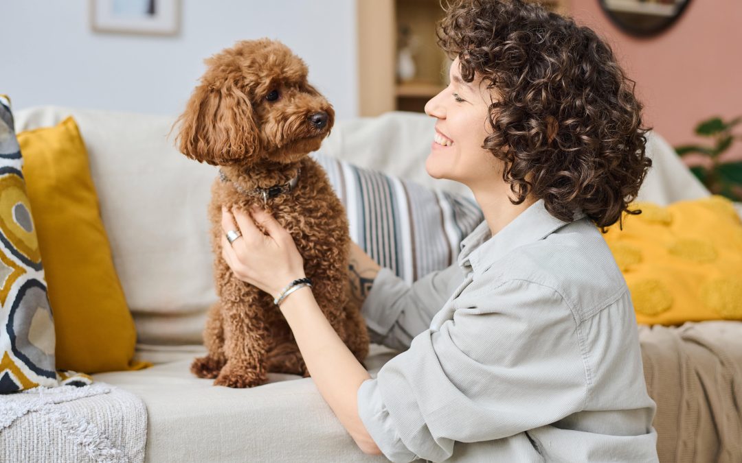 How To Find the Pawfect Pet Sitter: 5 Expert Tips