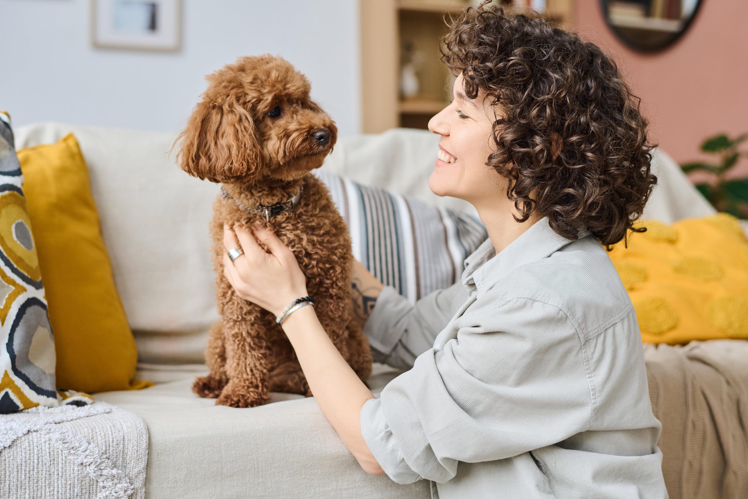 How To Find the Pawfect Pet Sitter: 5 Expert Tips