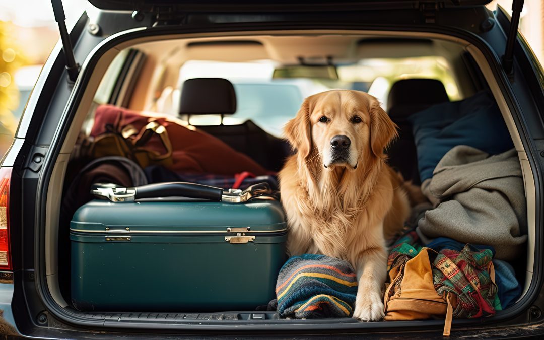 6 Pet Friendly Accommodations for your Festive Season Holiday!