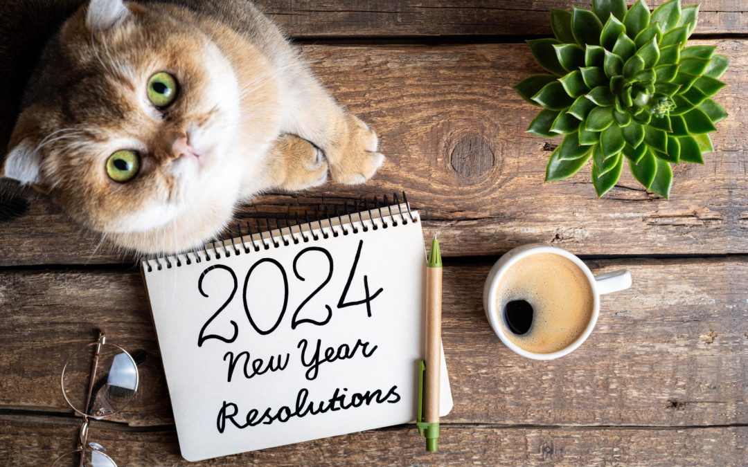 5 Clever New Year’s Resolutions for Pet Owners