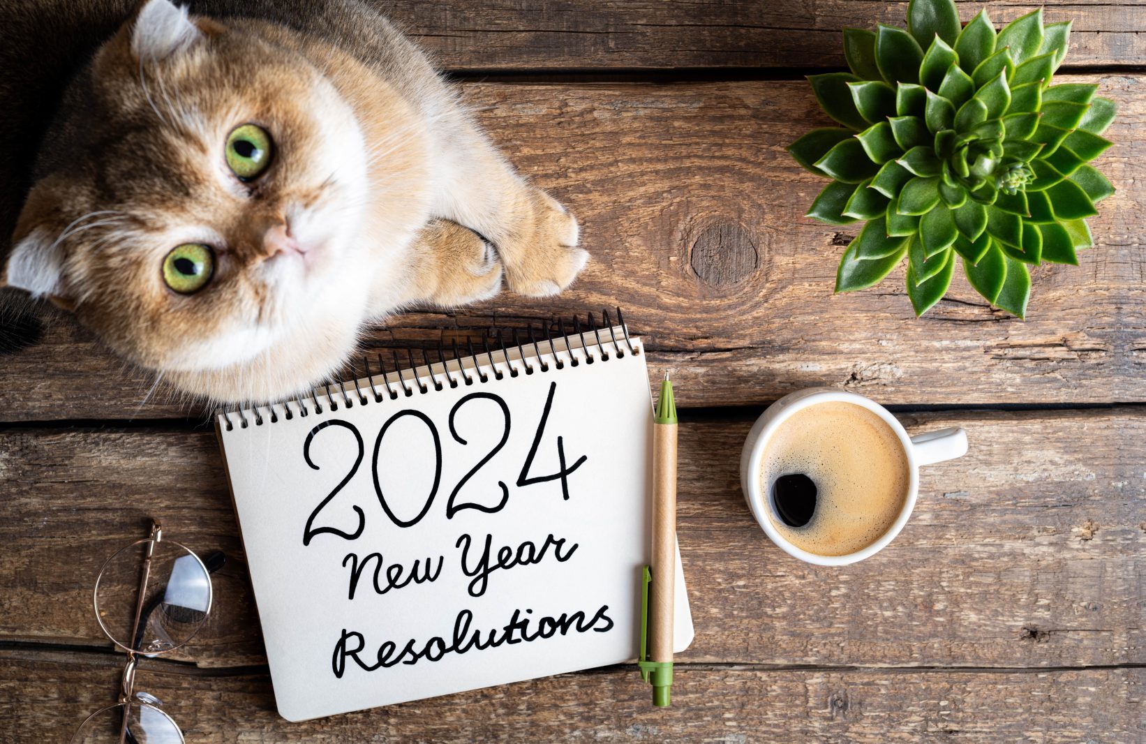 5 Clever New Year’s Resolutions for Pet Owners