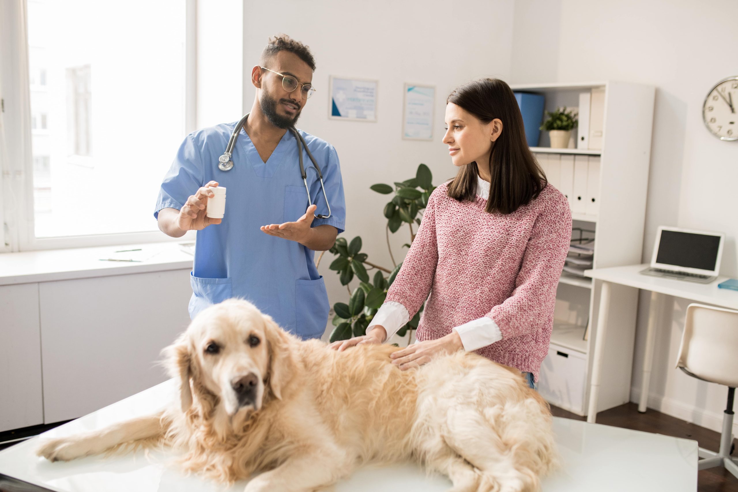 Should you seek a second opinion from your vet?