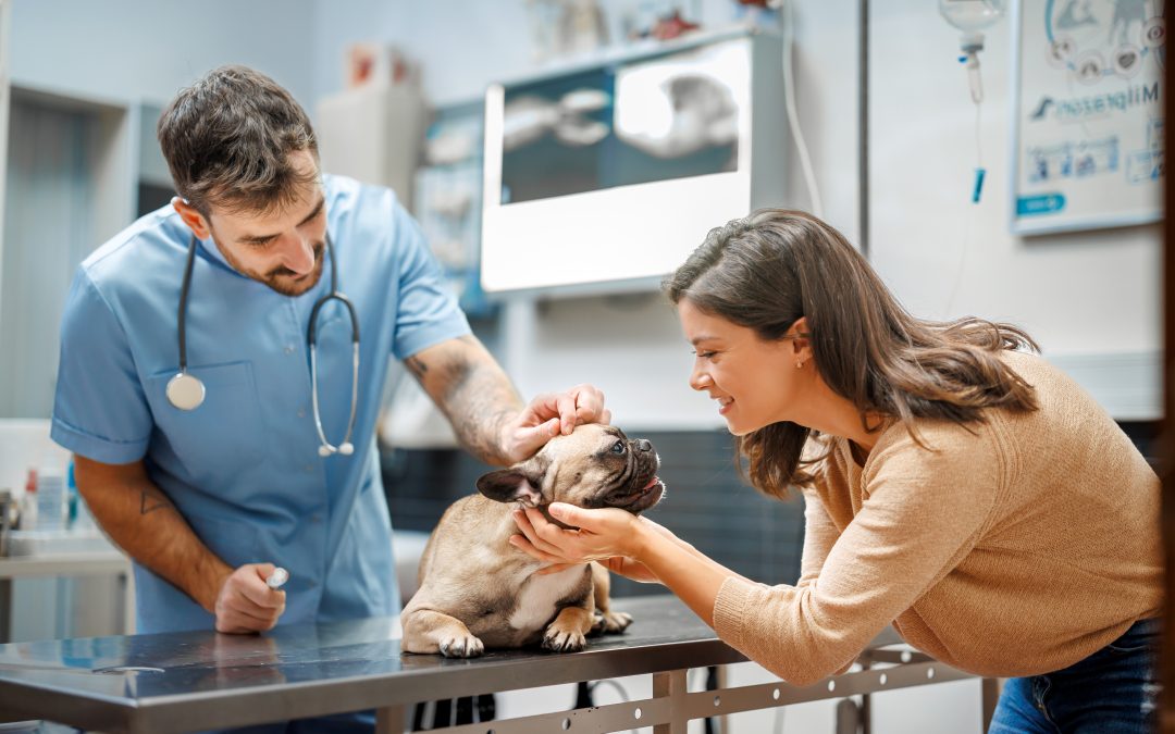 How to Calm Your Dog at the Vet: 7 Simple Tips