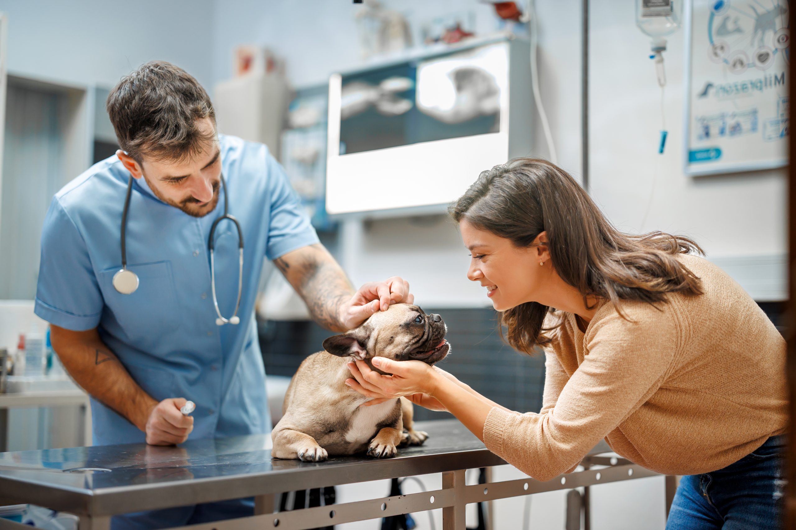 How to Calm Your Dog at the Vet: 7 Simple Tips
