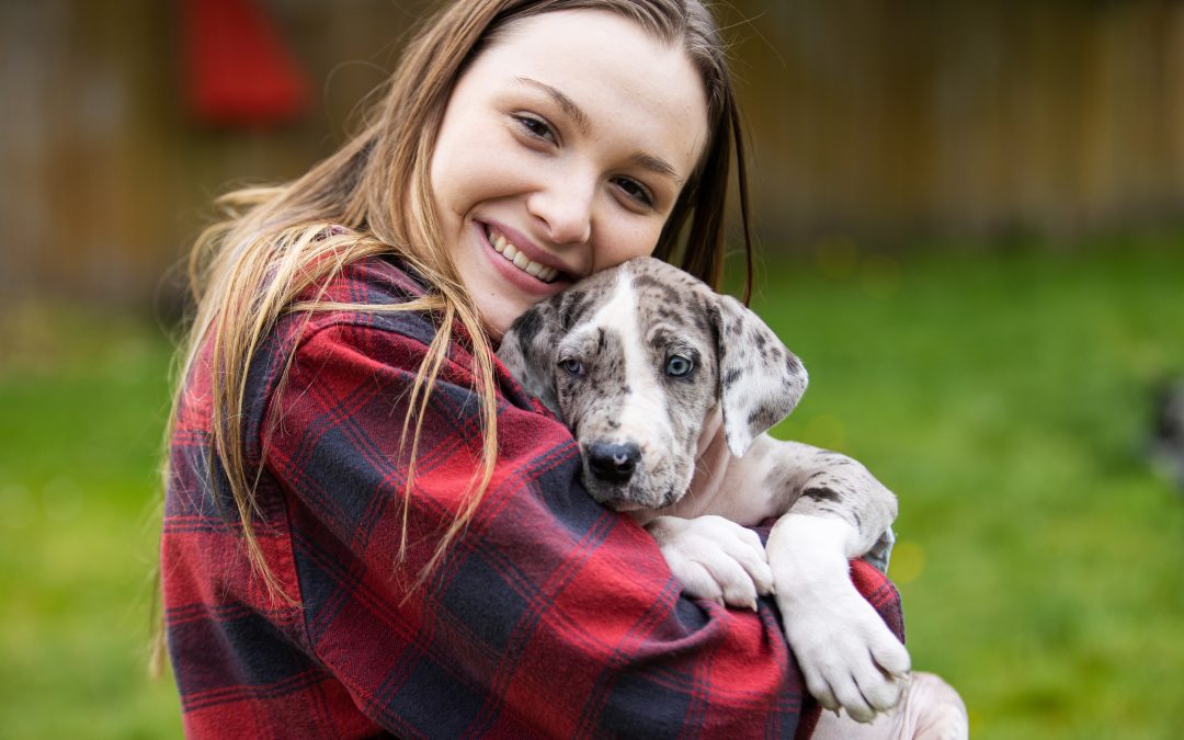 Should You Insure the Health of Your Great Dane?