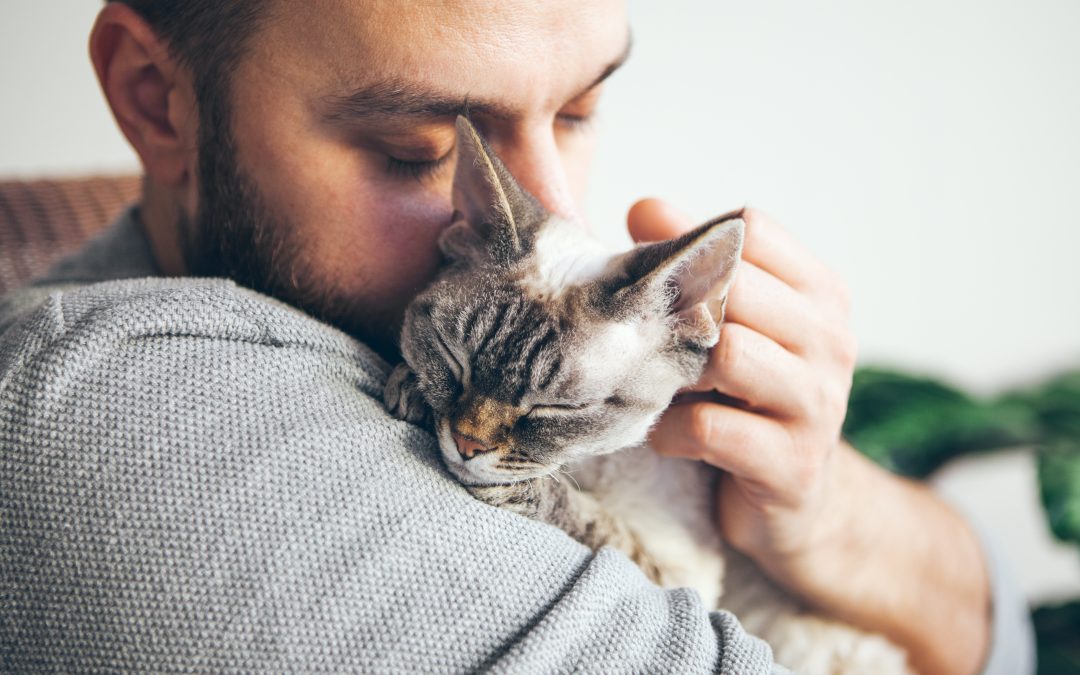 How to Care for Your Pet: 5 Preventative Care Treatments