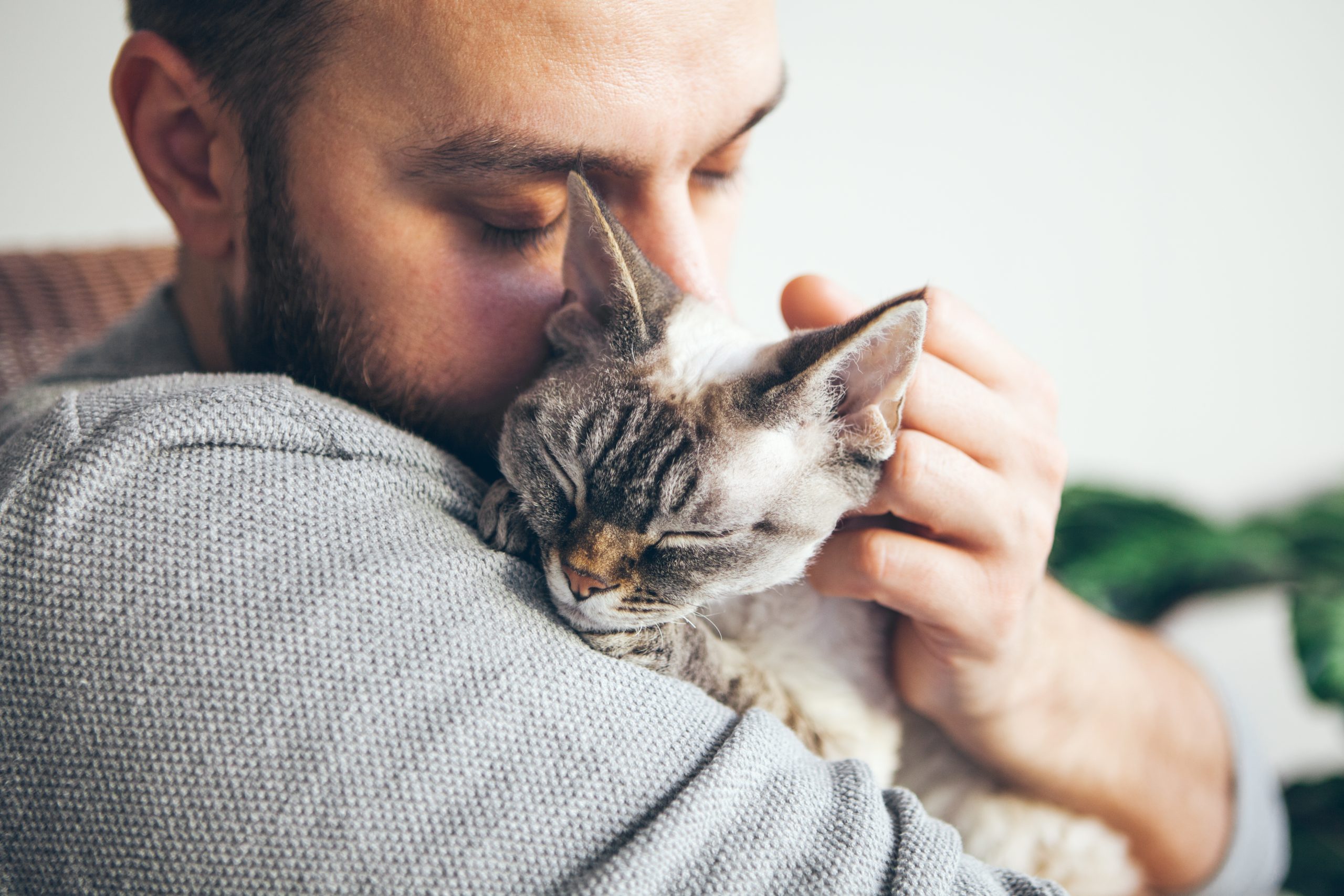 How to Care for Your Pet: 5 Preventative Care Treatments