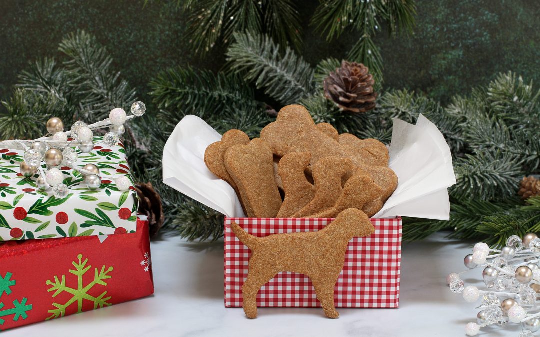 4 Easy Pet Treat Recipes for the Festive Season