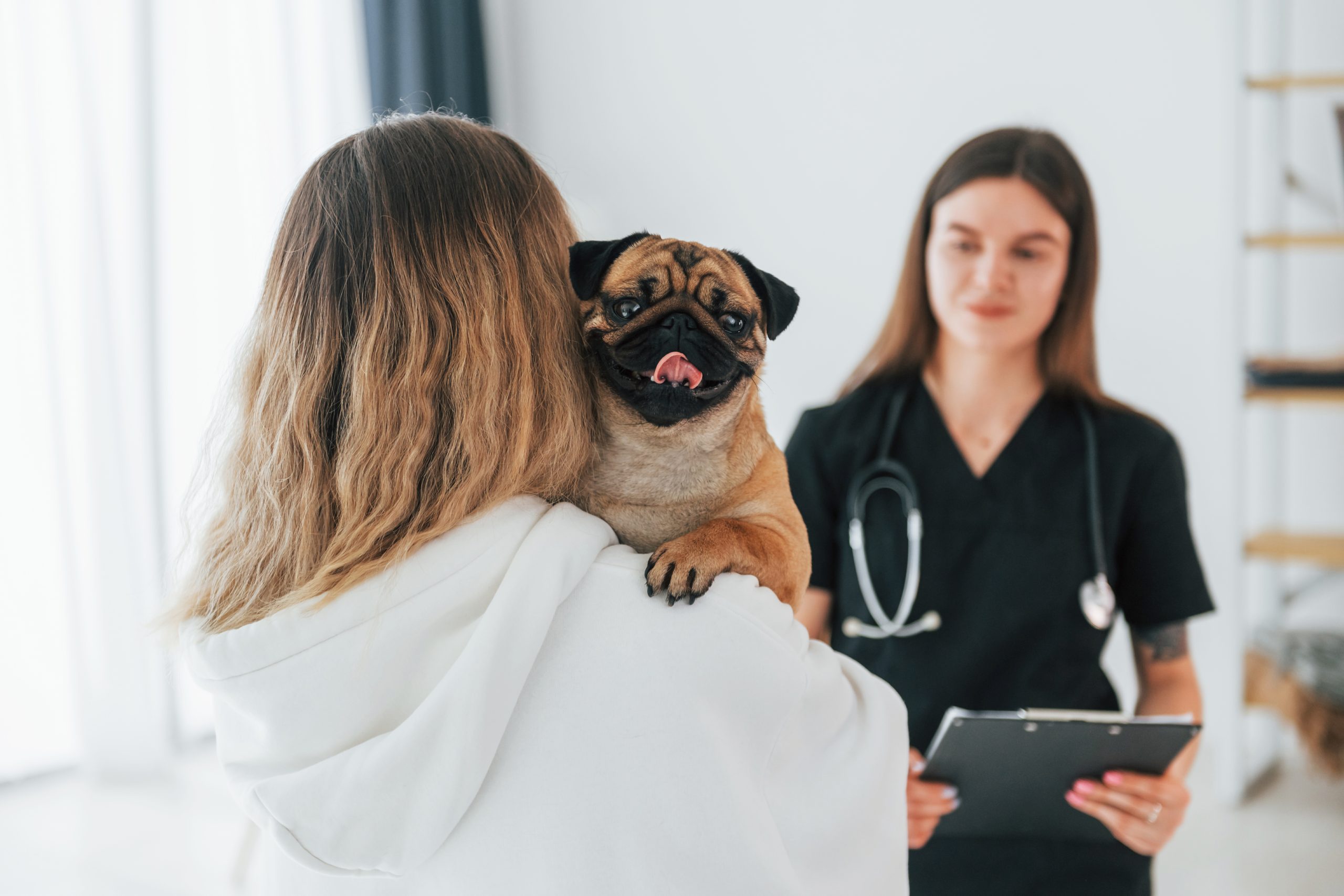 Routine Vet Care for Dogs: 11 Regular Checks Your Pup Needs