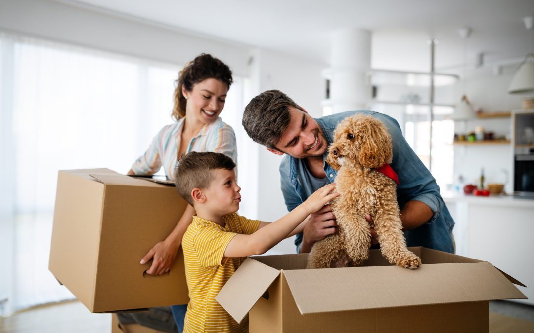 6 Tips for Renting a House with Pets