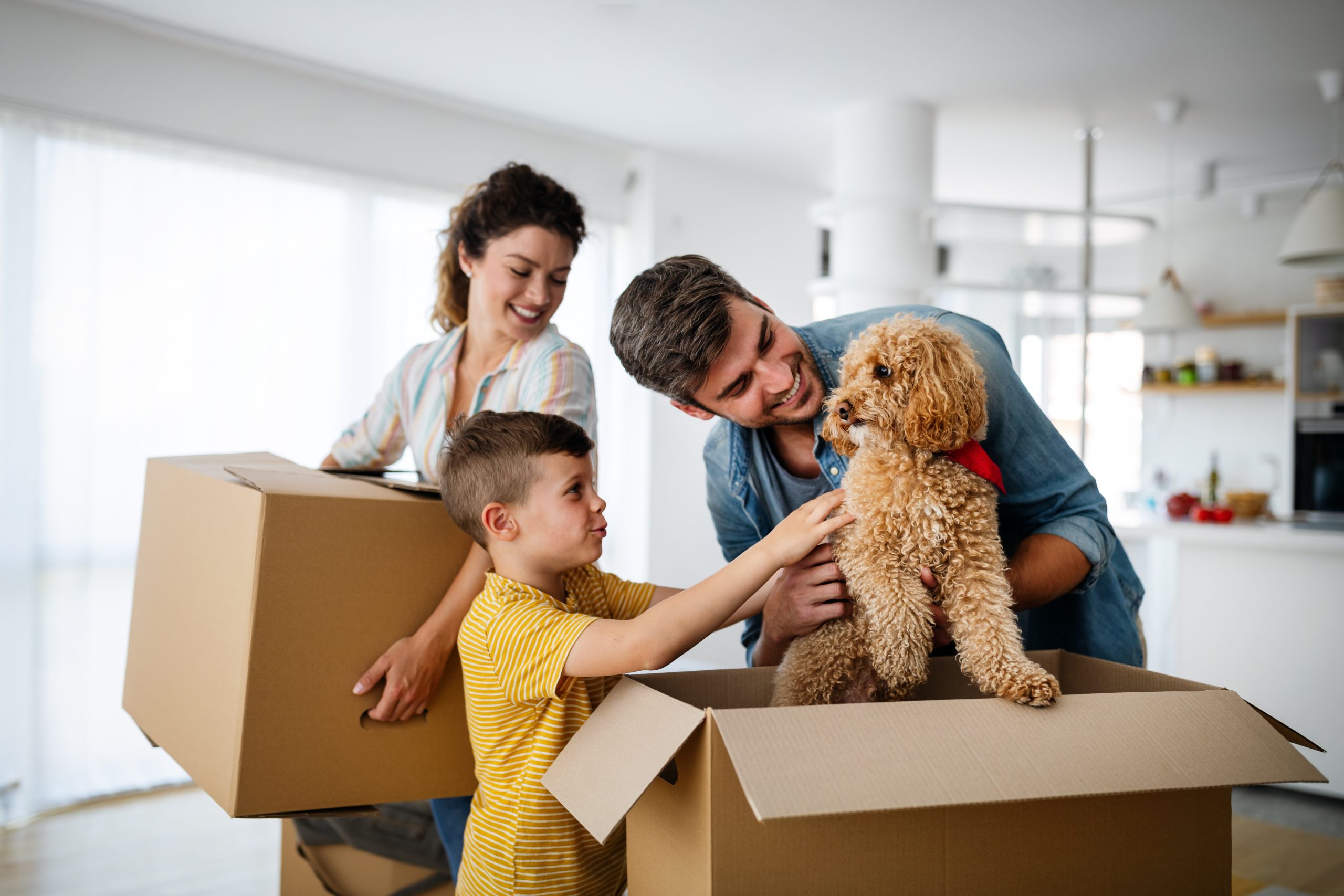 6 Tips for Renting a House with Pets