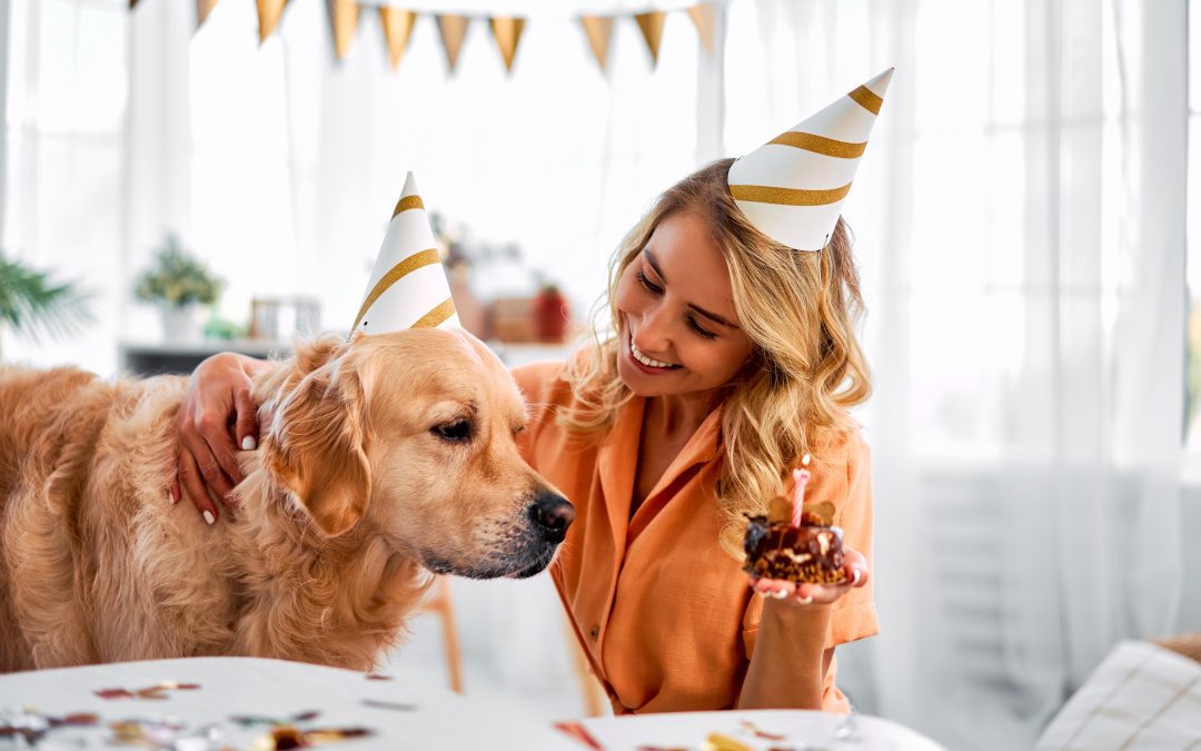 How to Plan the Perfect Pet Party: 6 Top Tips