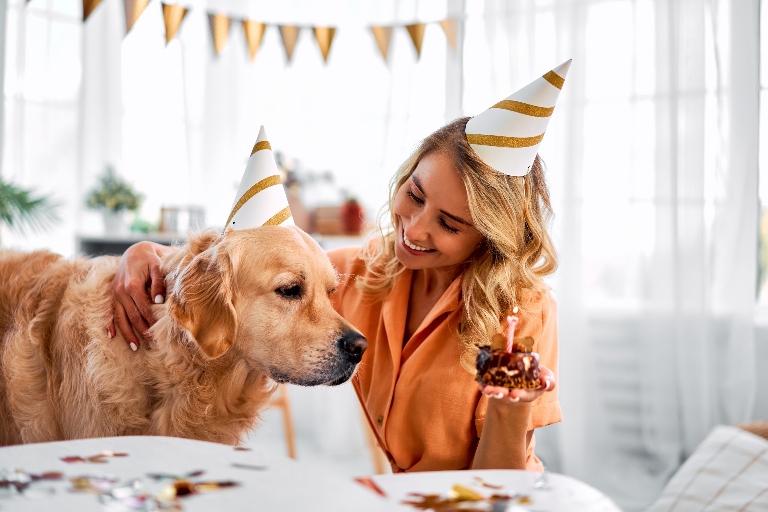 How to Plan the Perfect Pet Party: 6 Top Tips