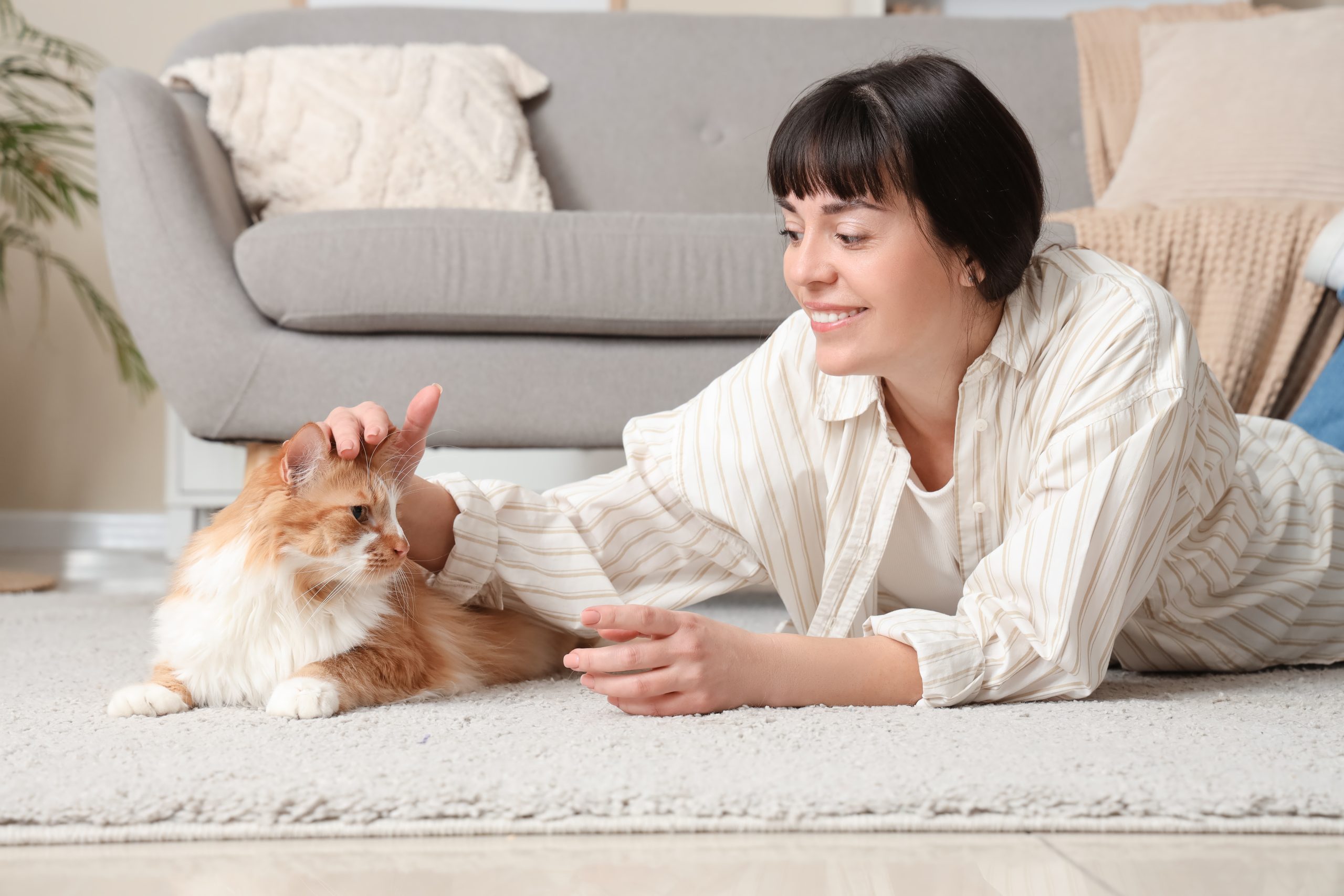 Financial Protection: Why Pet Insurance Is About More Than Money